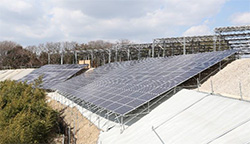 急斜面に設置された太陽光発電設備