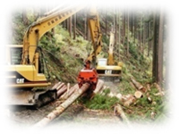 木質バイオマス地域循環モデル事業プロジェクトのイメージ