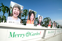 MERRY GARDEN プランター