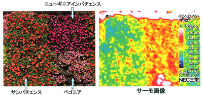 サーモカメラを使った実験結果