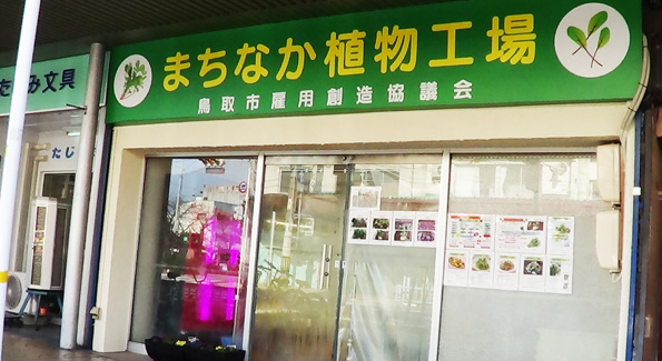 商店街にあった元美容室の店舗をそのまま利用して設けられた「まちなか植物工場」（写真提供：鳥取市雇用創造協議会事務局）
