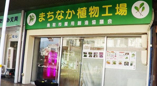 商店街にあった元美容室の店舗をそのまま利用して設けられた「まちなか植物工場」(写真提供:鳥取市雇用創造協議会事務局)