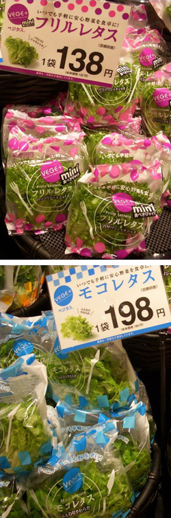 スプレッド社の植物工場野菜