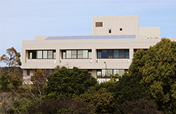 和歌山大学栄谷団地（写真／和歌山大学）