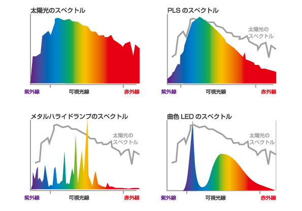 スペクトル