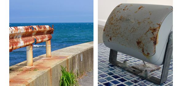 海岸沿いの塩害イメージ（画像左）、塩害イメージ（画像右）