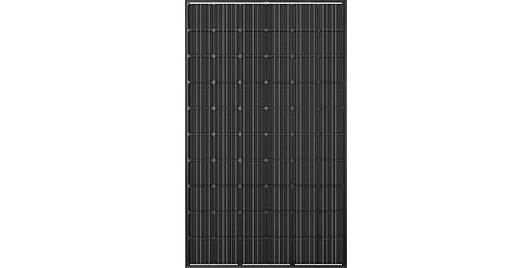 Honey M Plus Black TSM-DD05A.05(II)