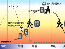 ※画像はイメージです