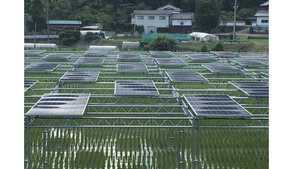 農地・山林を有効活用