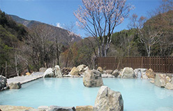 長野県上高井郡の七味温泉ホテル。IHI製、20kWの小型バイナリー発電装置を1台導入した