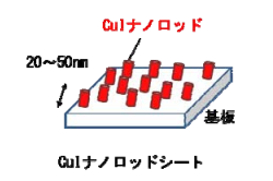 ※画像はイメージです