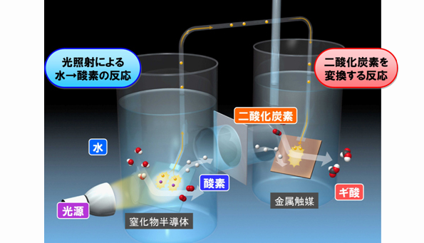 ※画像はイメージです