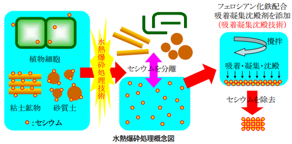 ※画像はイメージです