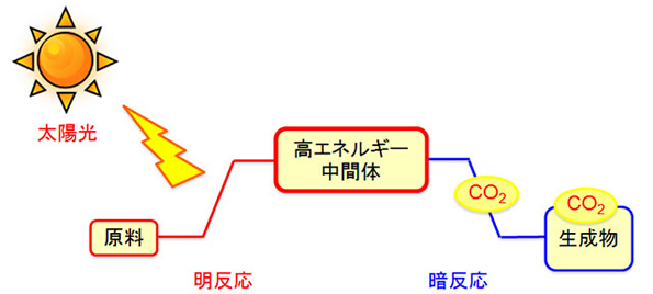 ※画像はイメージです