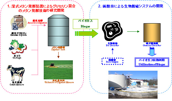 ※画像はイメージです