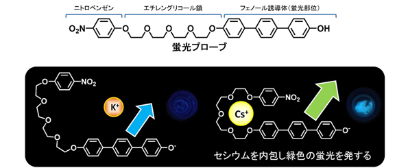 ※画像はイメージです