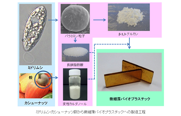 ※画像はイメージです