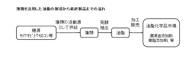 ※画像はイメージです