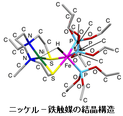 ※画像はイメージです