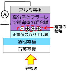 ※画像はイメージです