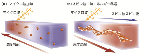 ※画像はイメージです