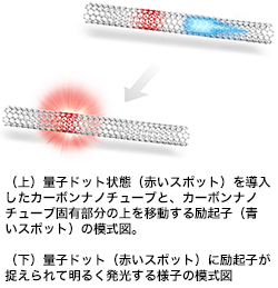 ※画像はイメージです