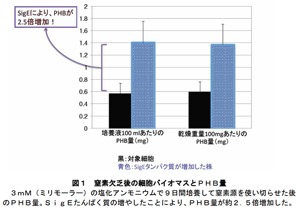 ※画像はイメージです