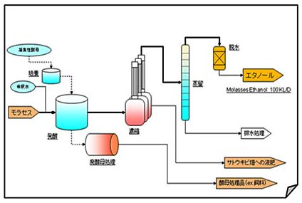 製造フロー