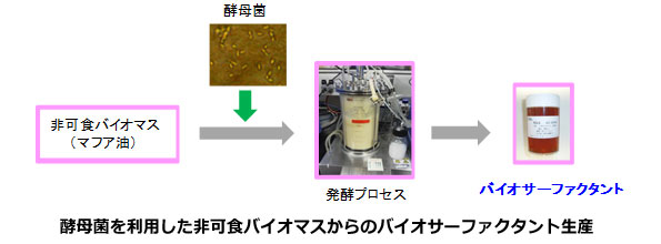 ※画像はイメージです