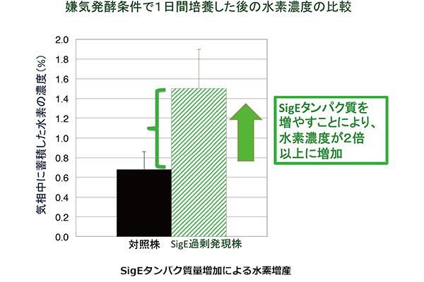 ※画像はイメージです