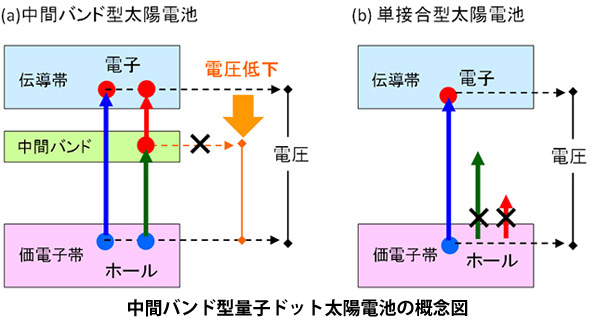 ※画像はイメージです