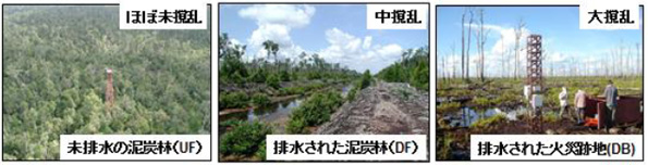 (※拡大図・データはこちらをクリック)