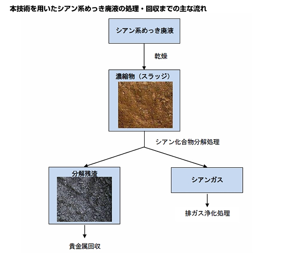 ※画像はイメージです