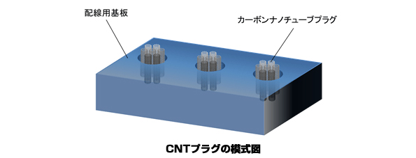 ※画像はイメージです