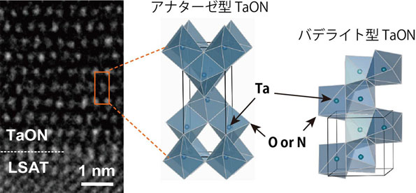 アナターゼ型のTaONの単結晶薄膜の断面を透過型電子顕微鏡でとらえた画像(左)とその結晶構造の模式図(中央)。バデライト型のTaONの結晶構造の模式図もあわせて示す(右)。