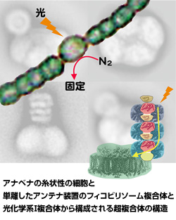 ※画像はイメージです