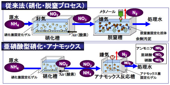 ※画像はイメージです