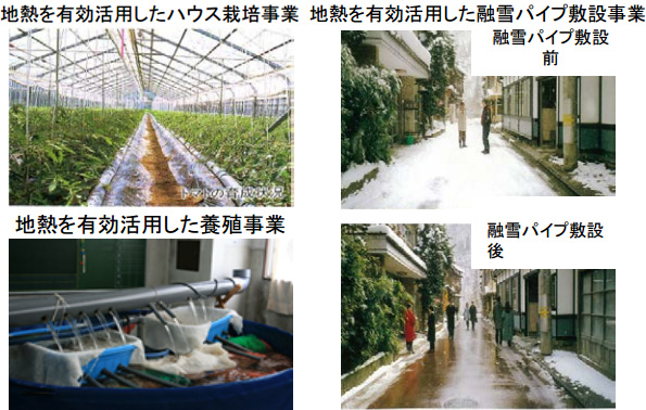 地熱利用による地域振興事業の例