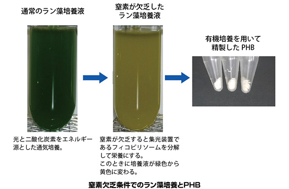 ※画像はイメージです