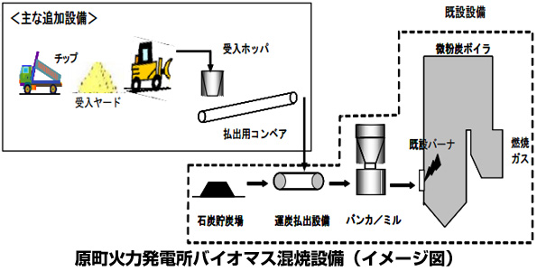 ※画像はイメージです