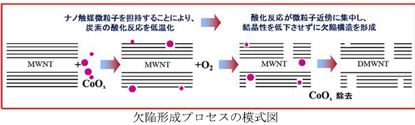 ※画像はイメージです