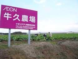 イオンアグリ直営農場