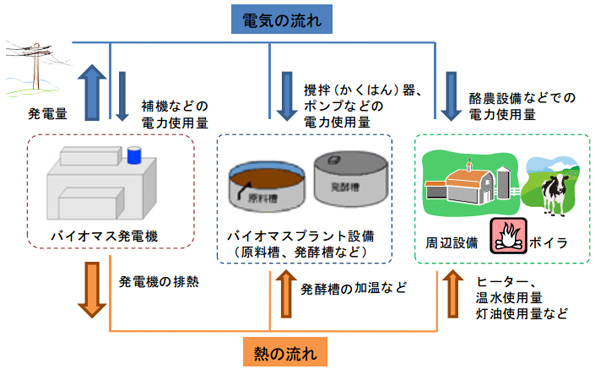 「大規模プラント」では、北海道特有の共同利用型の大規模家畜系バイオマスプラントを設置する