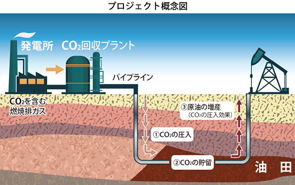 ※画像はイメージです