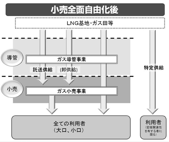 ※クリックすると「現行制度との比較図」