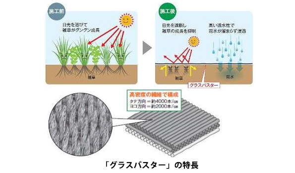 ※画像はイメージです