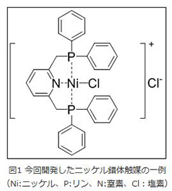 今回開発したニッケル錯体触媒の一例