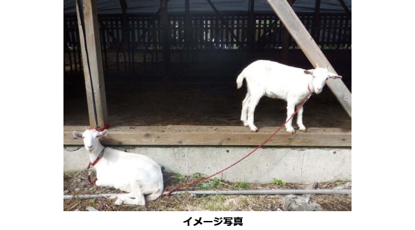 ※画像はイメージです