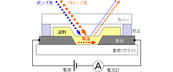 開発した電荷の輸送特性を評価する手法