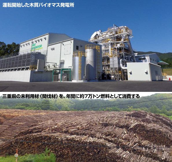 松阪木質バイオマス発電所(三重エネウッド株式会社)